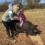 Fun with the pigs